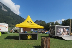 oitg 2013 2